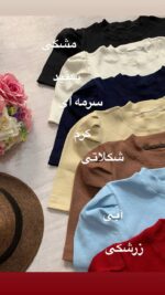 کراپ تیشرت آستین پفی _کد1066 - Image 7